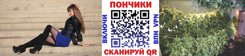 где продают наркотики  Кушва  МАРИХУАНА THC 21% 